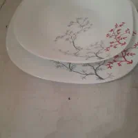 اکروپال قیمت دودست ۵تومن مفت گذاشتم