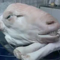 کله پاکن با سابقه 25سال