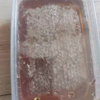 عسل خوشمزه زنبوردار|خوردنی و آشامیدنی|تهران, شهرک ولیعصر جنوبی|دیوار