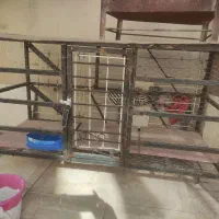 قفسه مرغ وپرنده نو و.رنگ شده