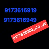 9173616919