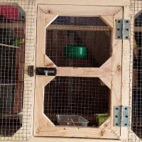 قفس شیک|لوازم جانبی حیوانات|ایذه, |دیوار