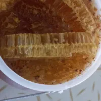 عسل طبیعی|خوردنی و آشامیدنی|یاسوج, |دیوار