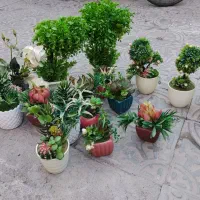 گل مصنوعی|گل مصنوعی|کرمان, |دیوار