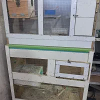 قفس پرنده|لوازم جانبی حیوانات|بندر ماهشهر, |دیوار