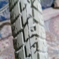 طاهر دوچرخه 24