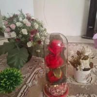 گل گلدان سالم|گل مصنوعی|قزوین, |دیوار