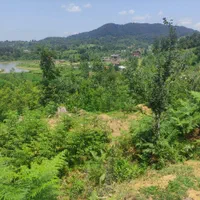 فروش فوری زمین ۷۴۵متری داخل طرح هادی، روستای چماچا|فروش زمین و ملک کلنگی|شفت, |دیوار