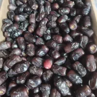 خرما پنچ کیلو وزن میانگین 6/800|حراج|بم, |دیوار