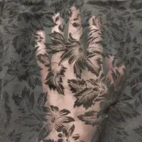 چادر مجلسی و شال