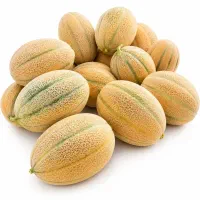 استخدام نیروی کار و صندوق دار میوه فروشی