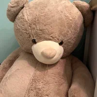 سلام خرسی اصل خارجی در حد نو نو