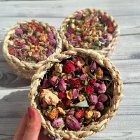 پت شاپ خرگوشی|لوازم جانبی حیوانات|تهران, بازار|دیوار