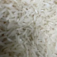 کشت شالی مشارکتی