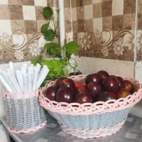 سبد|ظروف نگهدارنده، پلاستیکی، یک‌بارمصرف|بروجرد, |دیوار