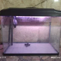 آکواریوم با وسایل