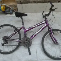 یخچال و دوچرخه|یخچال و فریزر|شیراز, شهرک ترکان|دیوار