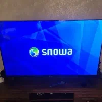 اسنوا هوشمند اسمارت