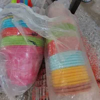 انواع گل گلدان|گل و گیاه طبیعی|شوش, |دیوار