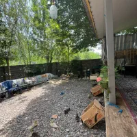 ویلای ۳۰۰ متری لوکشین گردشگری و جنگلی|فروش خانه و ویلا|رشت, بازار|دیوار