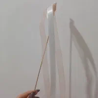 چوبک روبانی