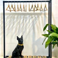 دنیای رگال و قفسه (الماسی)|فروشگاه و مغازه|کرج, شاهین‌ویلا|دیوار