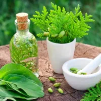 عفونت واژن حجم دهی اندام