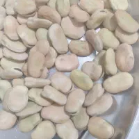 باقله درشت|عمدهفروشی|هرسین, |دیوار