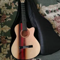 گیتار کلاسیک همراه کاور