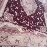 فروشی|فرش|سهند, |دیوار