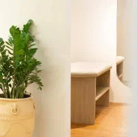 اجاره ماهانه یا درصدی  لاین مژه