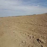 اجاره 9 هکتار زمین کشاورزی|اجارهٔ دفتر صنعتی، کشاورزی، تجاری|میاندوآب, |دیوار