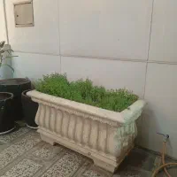 گلدان سیمانی