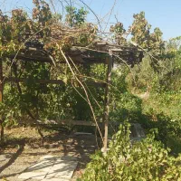 باغ-میوه-1000-متری-در-شاهد-شهر-شهریار