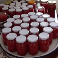 انواع ترشی، رب گوجه|خوردنی و آشامیدنی|شاهین‌شهر, نظامی|دیوار