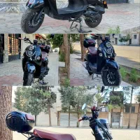 کویر ms1