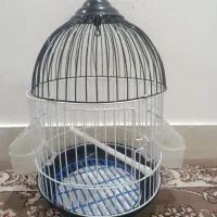 قفس