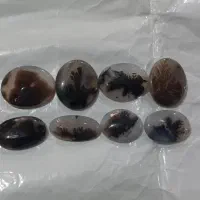 شجر|جواهرات|مشهد, قائم|دیوار