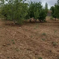 باغ-فروش