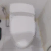 توالت فرنگی