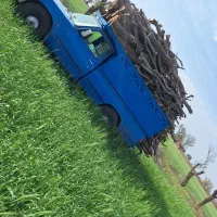 چوب درخت کنده ریشه خریدارم