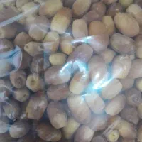 خرما زاهدی و پیارم و خرمای شاهانی درجه یک
