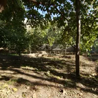 باغچه در روستای سولقان محله بالا|فروش زمین و ملک کلنگی|کن, |دیوار