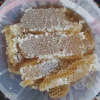 فروش عسل عسل درجه یک|خوردنی و آشامیدنی|شیراز, شهرک سعدی|دیوار