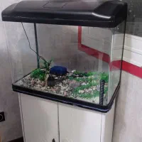 فروش وسایل خانگی اجاق گاز و هود و آکواریوم.|سایر لوازم برقی|بندرعباس, |دیوار