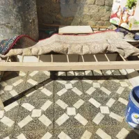 قیمت 3میلیون