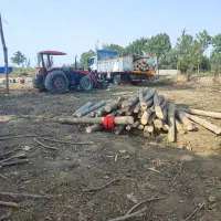 خدمات بیل جلوتراکتور کرایه|خدمات حمل و نقل|علی‌آباد کتول, |دیوار