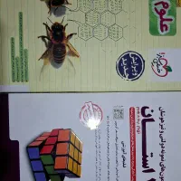 نمونه و تیزهوشان