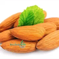 پیش فروش نهال بادام شمشیری|خدمات باغبانی و درختکاری|اژیه, |دیوار