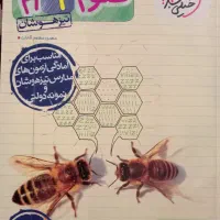 کتاب های نهم تمیز بدون خط کشی|کتاب و مجله آموزشی|بابل, |دیوار